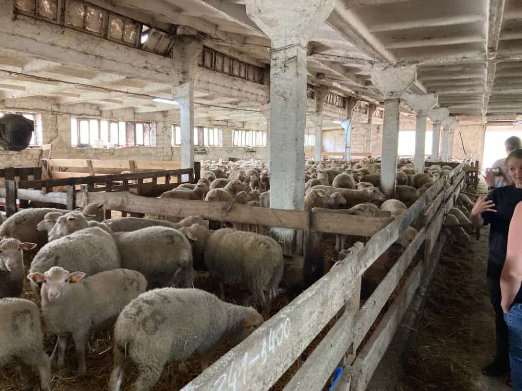 83e31e85 10fb 407f 8956 Bd6a3e448a70 1067X800 1