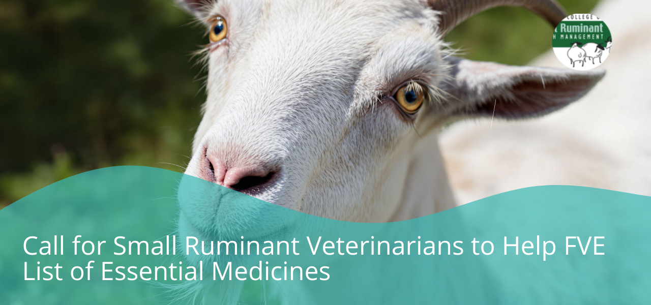 BB Call For Small Ruminant Veterinarians To Help FVE List Of Essential Medicines 1