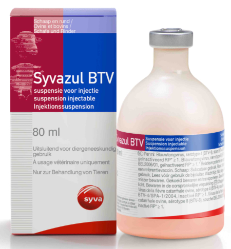 BTV 48 PARA WEB JUNTOS 2