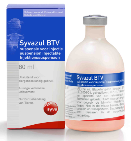 BTV 8 PARA WEB JUNTOS 3