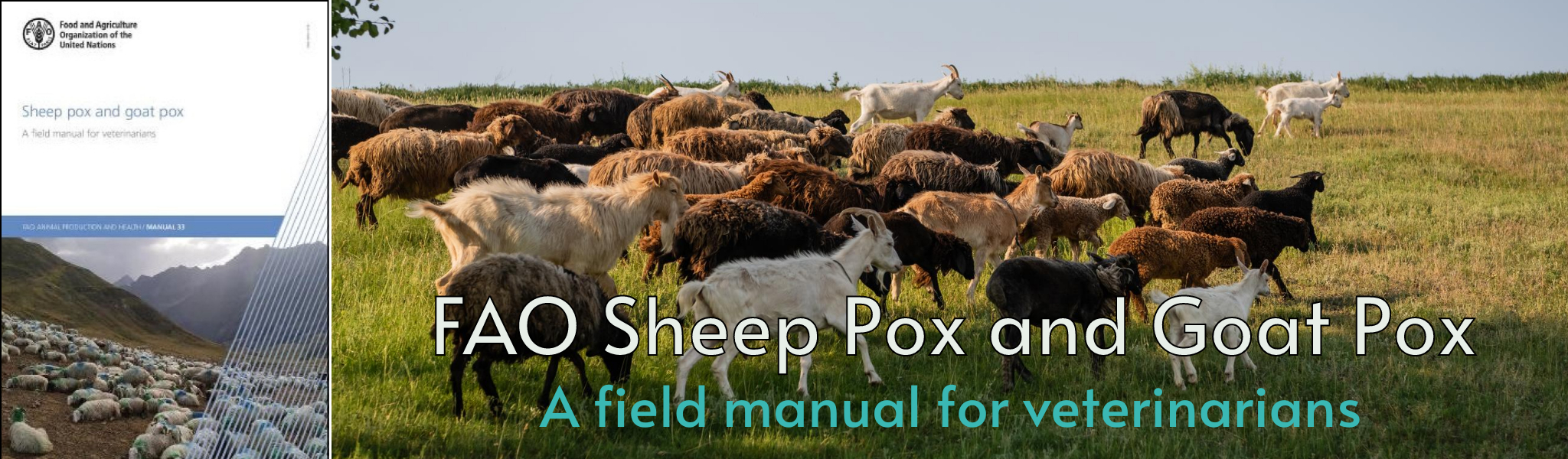 Banner Sheep Goat Pox Manual