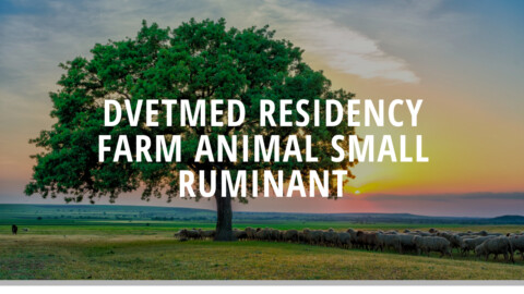 Blog Banner 1280 X 720px Custom Dimensions