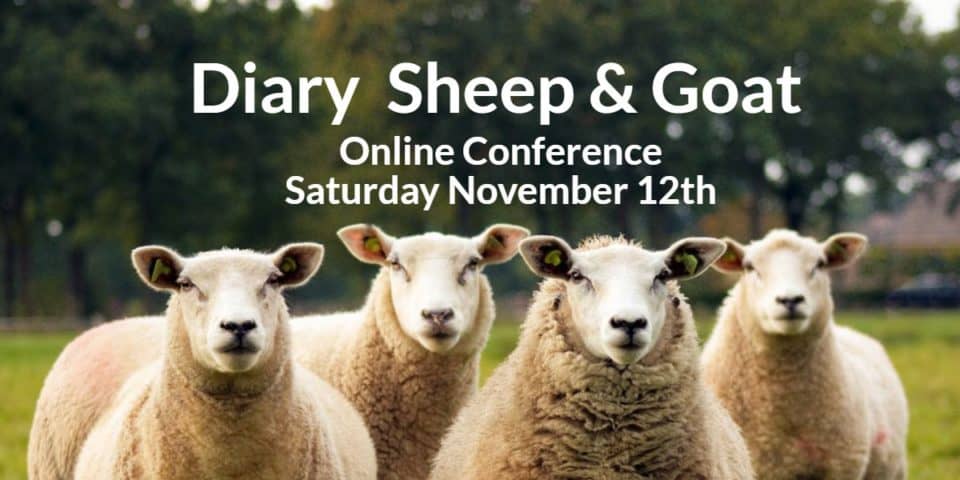 Dairy Sheep And Goat Online Conference 2021