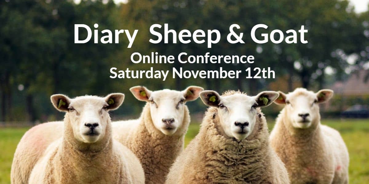 Dairy Sheep And Goat Online Conference 2021