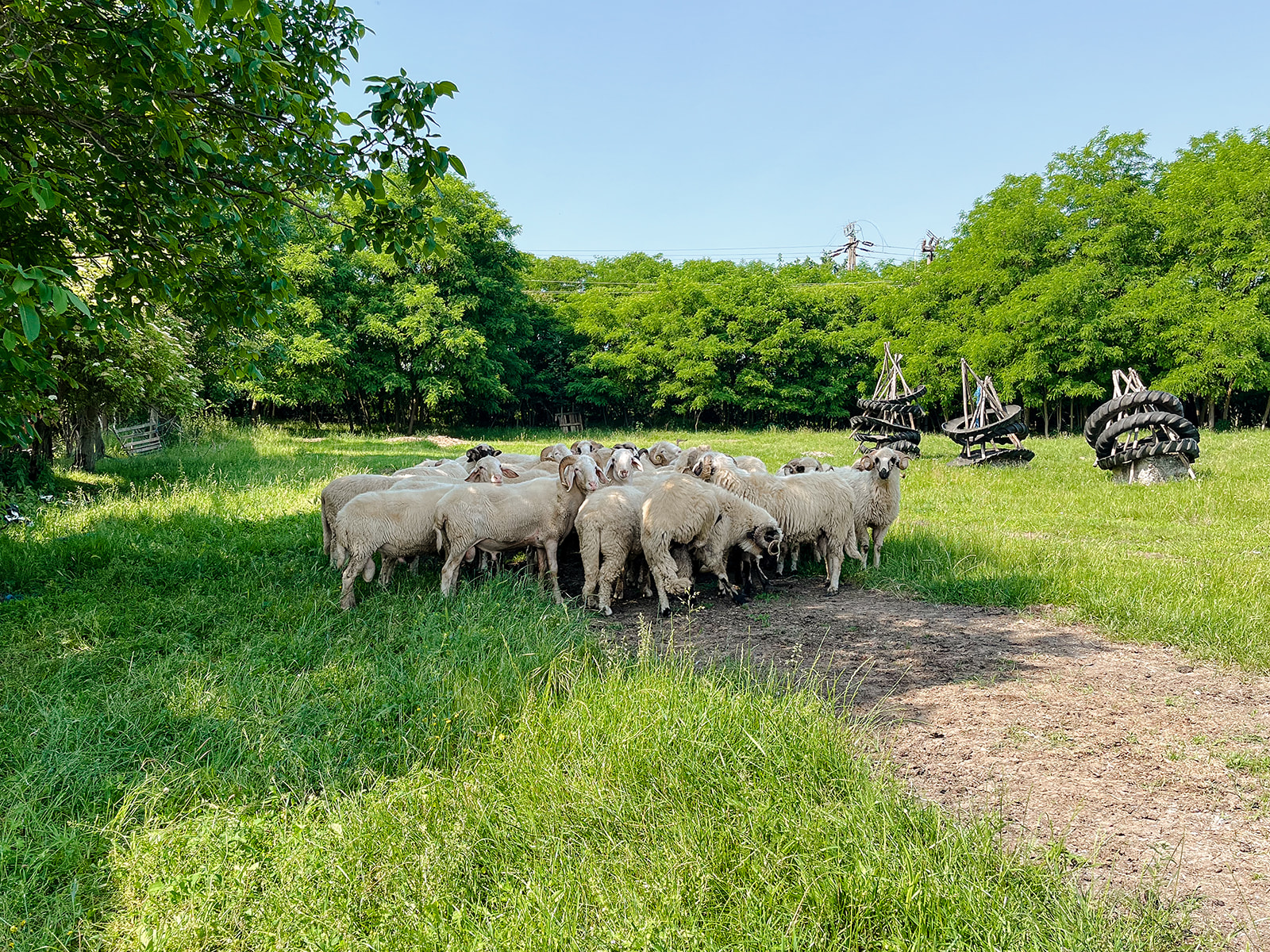 ECSRHM 2025 326 Websize