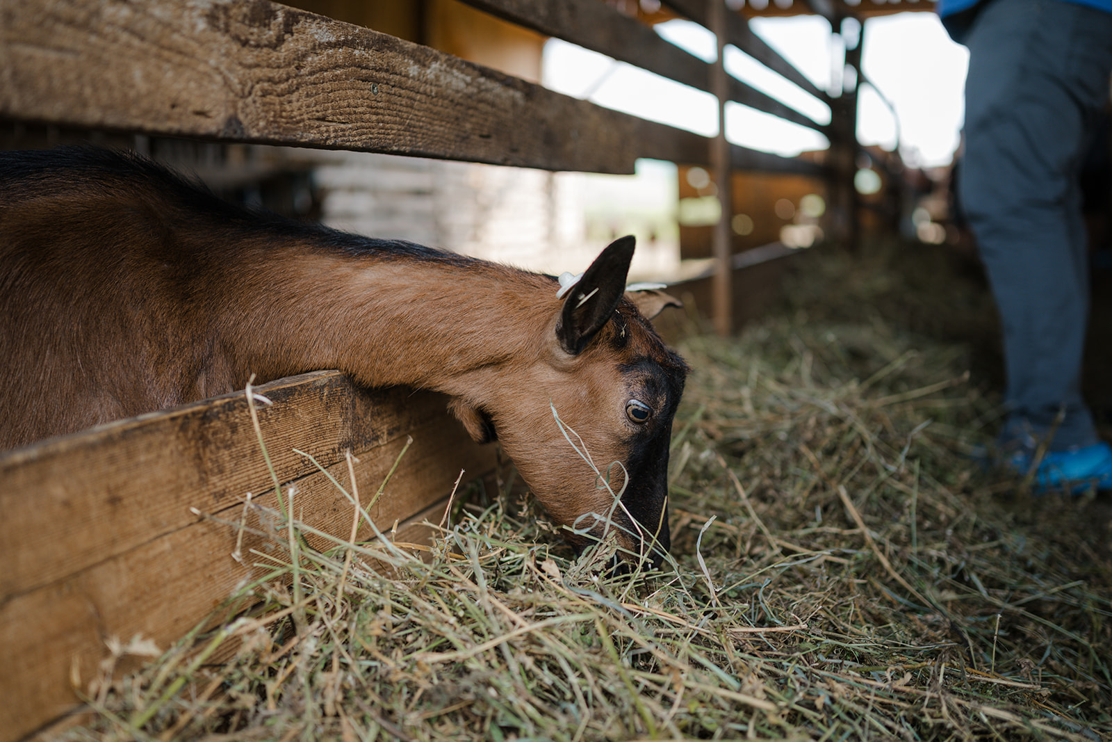 ECSRHM 2025 358 Websize