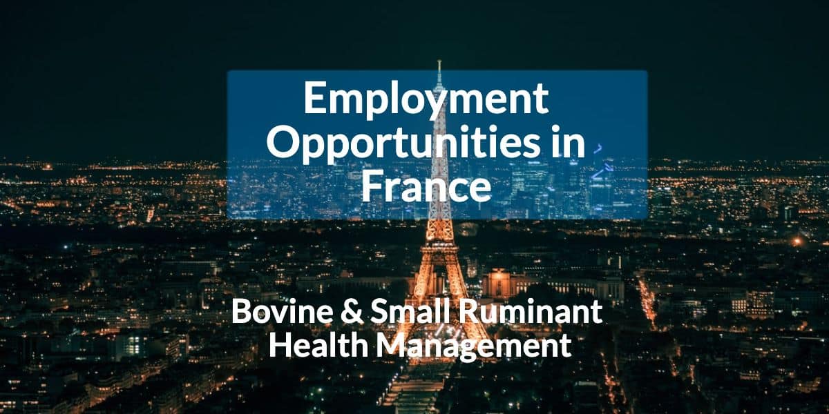 Employment Opportunities In France