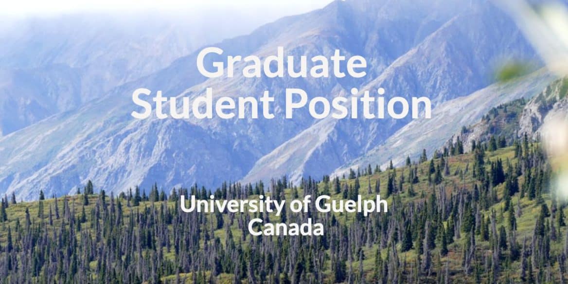 phd position canada