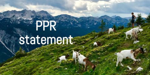 PPR Statement