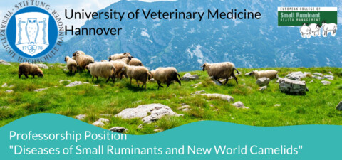 U Hannover Faculty Position