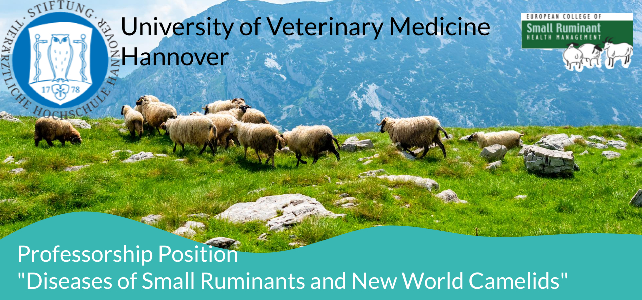 U Hannover Faculty Positiond7pE228