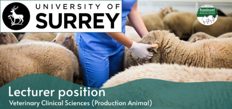 U Surrey Banner3