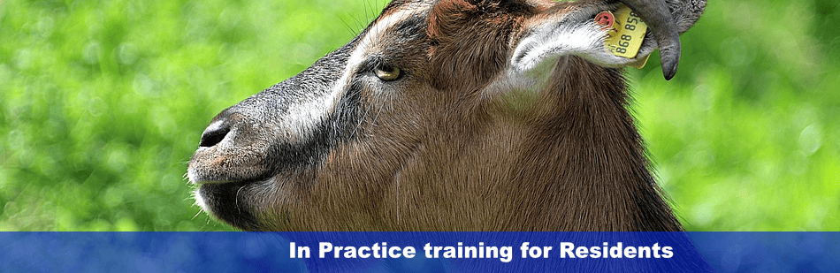 Inpractice Training Banner 1