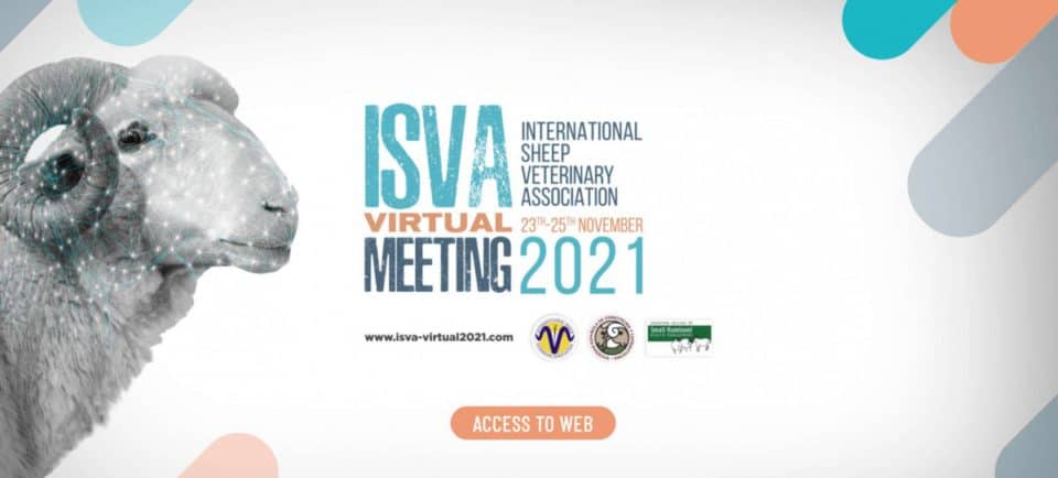 Isva 2021 1