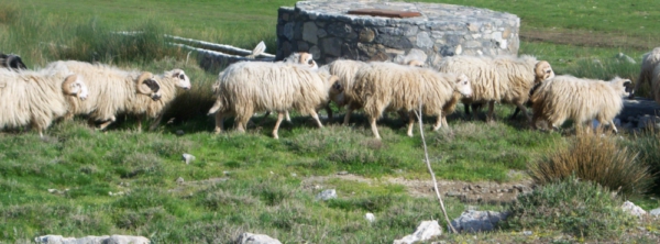Athanasios